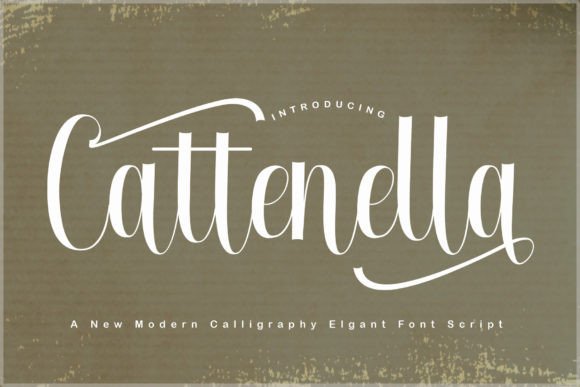 Cattenella Font Script for Elegant Editorial Design
