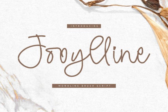 Jooylline Font Review for Makers