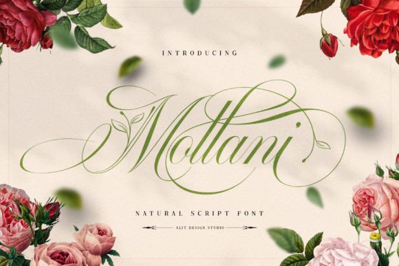 Mollani Typeface for Natural Brand Campaigns