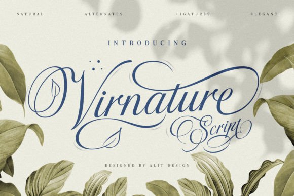 Virnature Font Review: Elegant Script for Editorial Design